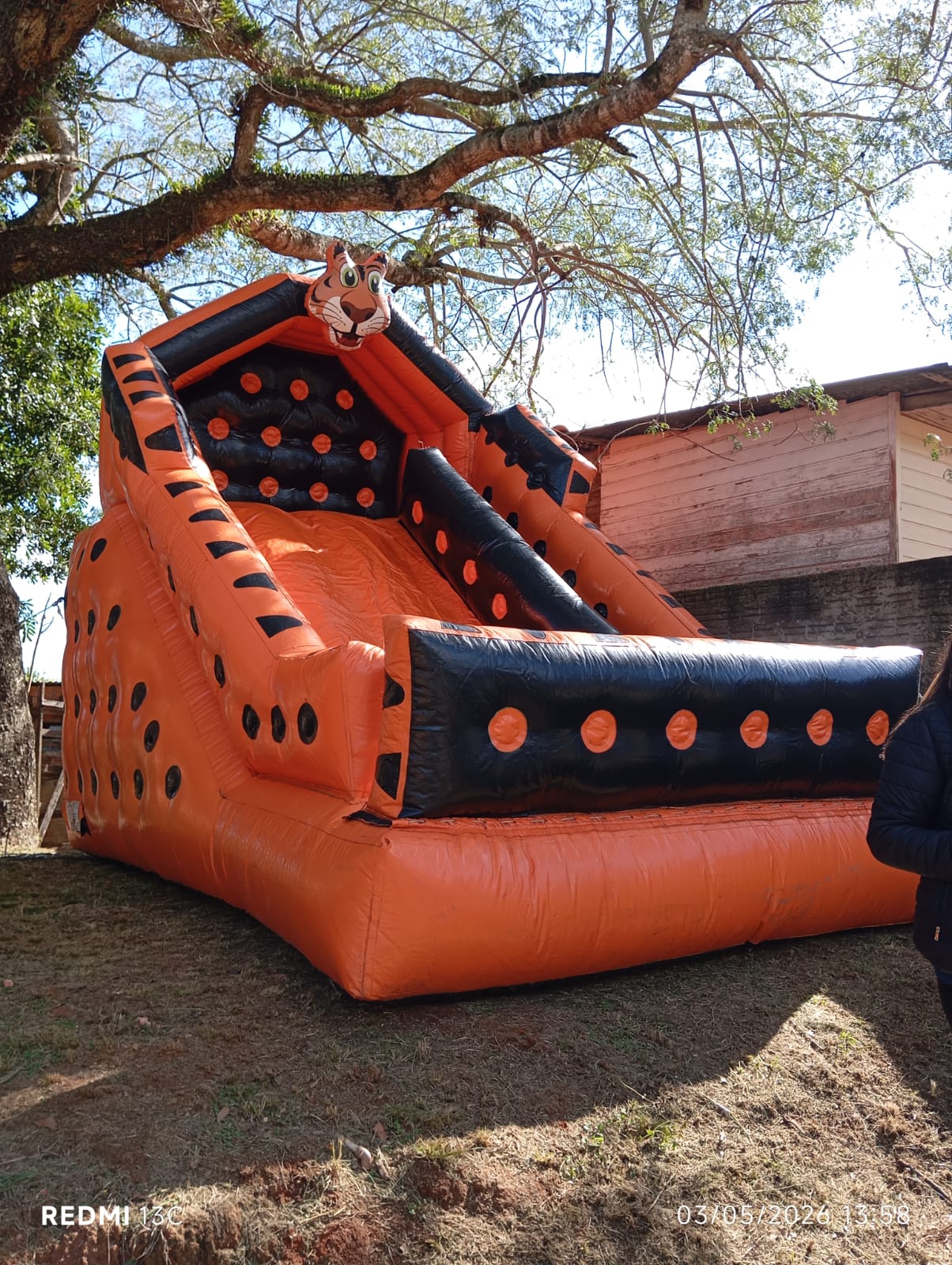 Tobogã inflável gigante com tema de tigre para locação